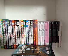 Isadora Moon, wimpy kid and dog man books