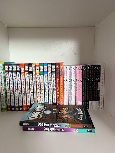Isadora Moon, wimpy kid and dog man books