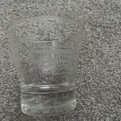 Bushmills Irish Whiskey Collectible Glass