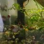 Tank with extras Image 4