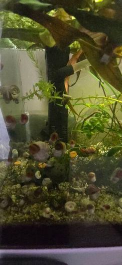 Tank with extras