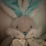 Rabbit Image 3