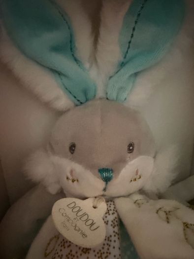 Rabbit