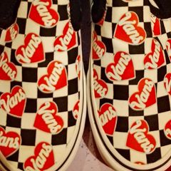Never worn Vans slipons