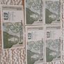Uncirculated Irish Old Punts X Five - 1989 Image 2