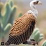 Schleich Vulture Animal Figure Image 7