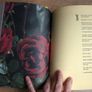 Nigel Slater Kitchen Diaries Image 3