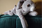 Rabbit / Bunny Soft Toy
