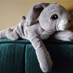 Rabbit / Bunny Soft Toy