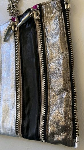 Louise Farnay metallic tones magnetic snatch crossbody bag - Rrp 129 dollars (New)