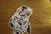 Motorcycle stickers