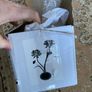 The Grange Collection 2 glass flower candle holder Image 3