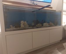 Large fish tank for sale