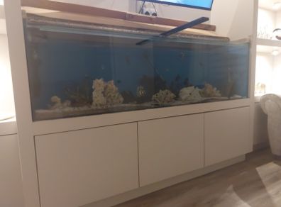Large fish tank for sale