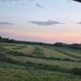 Round Bales Image 9