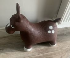 Child's horse