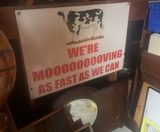 Cow sign