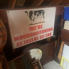 Cow sign