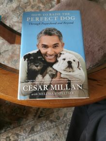 How to raise the perfect dog Cedar Millan