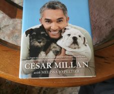 How to raise the perfect dog Cedar Millan