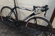 Claud Butler Strada carbon road bike 53cm