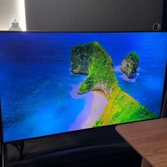 samsung TV 55'