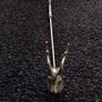 Stag Head Candle Snuffer Image 4