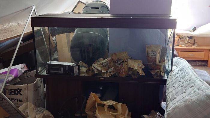 full aquarium set with cabinet full filtration water system can as do be converted to house tropical fish very easy , also smaller tank available too