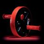 Ab Wheel Image 4