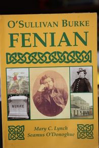 O'Sullivan Burke, Fenian