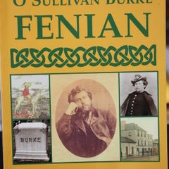 O'Sullivan Burke, Fenian