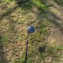 qi35 driver Image 3