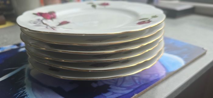 18 Piece Incomplete Cmielow porcelain Teaset made in Poland Vintage 50s 60s Old Rose Design Teaset HTF