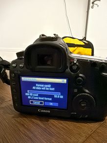 Canon 5D Mark III (16,915 shutter count)