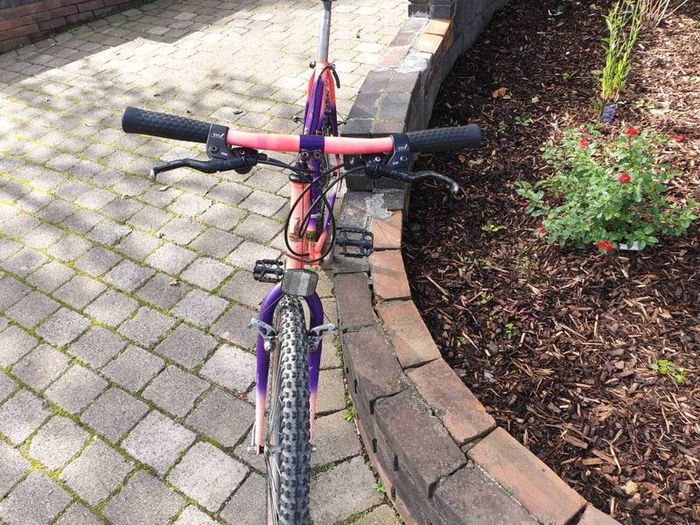 Raleigh Moonshine MTB