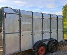 Ifor Williams cattle trailer