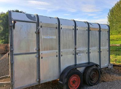 Ifor Williams cattle trailer