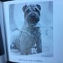 The Blue Day Book. - Reduced Image 6