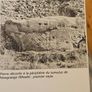 TREASURES OF IRELAND. THIS book is the exhibition catalogue for Tresors d'Irlande (Treasures of Ireland) held at the Galeries nationales du Grand Palais in Paris. Large volume paperback in good condition. See photos for same. Image 8