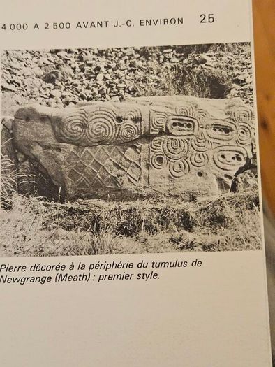 TREASURES OF IRELAND. THIS book is the exhibition catalogue for Tresors d'Irlande (Treasures of Ireland) held at the Galeries nationales du Grand Palais in Paris. Large volume paperback in good condition. See photos for same.