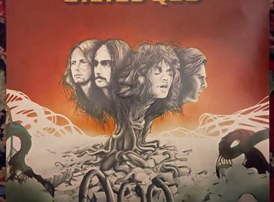 Status Quo. Irish translucent 1983 release of Quo in near mint condition