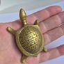 Brass Tortoise Image 6