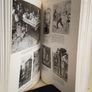 Garden of Zola: Emile Zola and his Novels for English Readers by Graham King (HQ78) Image 5