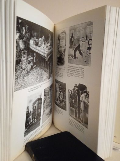 Garden of Zola: Emile Zola and his Novels for English Readers by Graham King (HQ78)