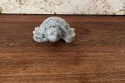 turtle fig