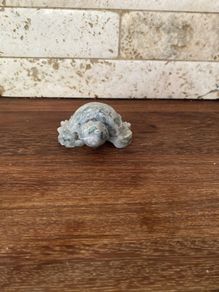 turtle fig