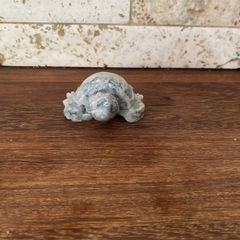 turtle fig