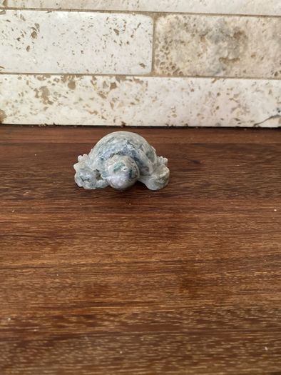 turtle fig