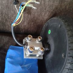 Hoverboard Motors