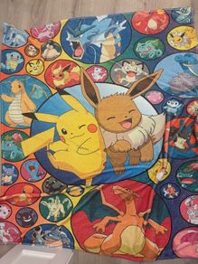 Pokemon blanket x 2
